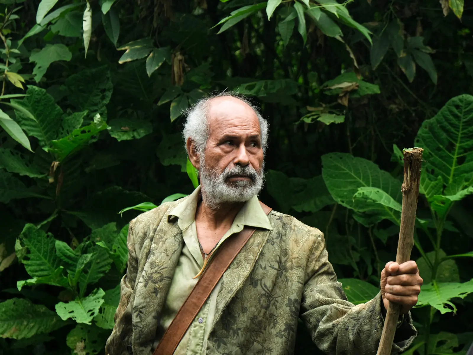 Don Goyo